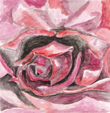 Rose Study 3
