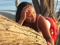 lilibeth on tree at sunset