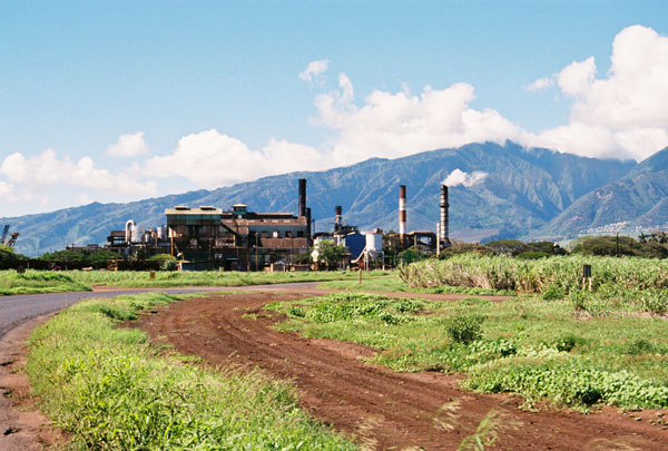 puunenemill