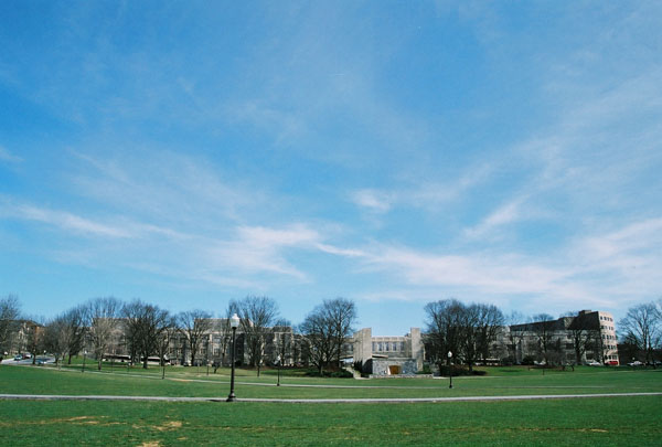 drillfield