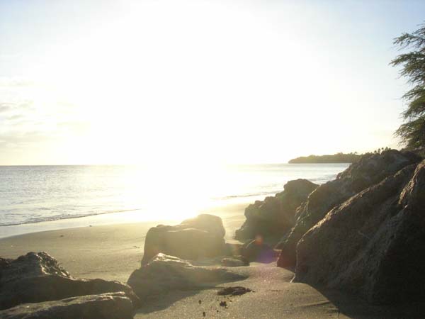 DSCN1757