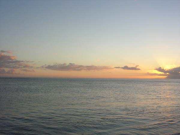 DSCN1935