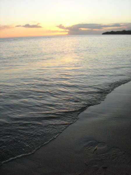 DSCN1939