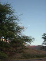 DSCN1913