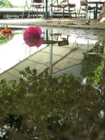 DSCN1355