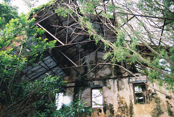 roof