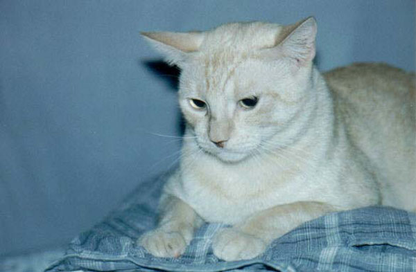 soliel