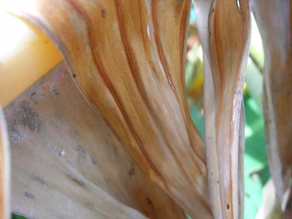 DSCN0569
