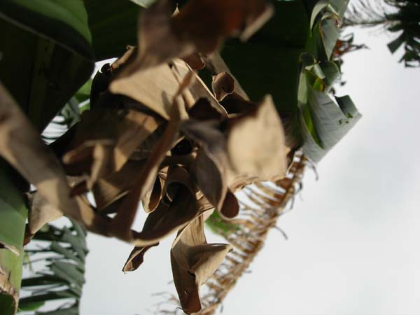 DSCN0577