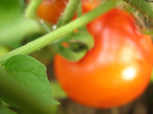 DSCN0584