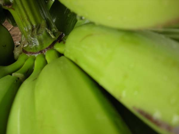DSCN0601