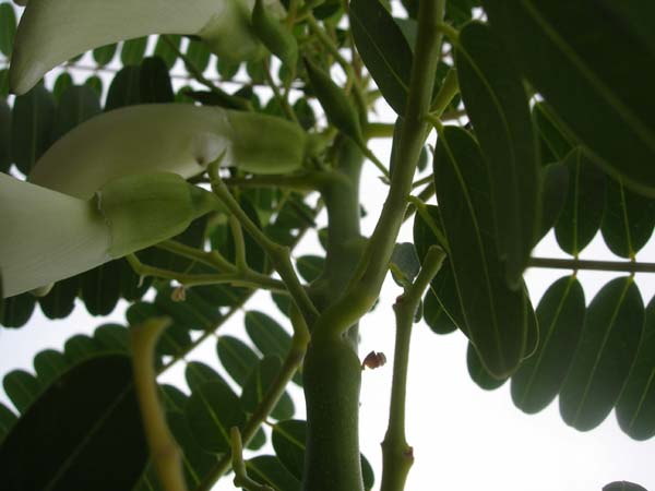 DSCN0635