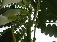 DSCN0635