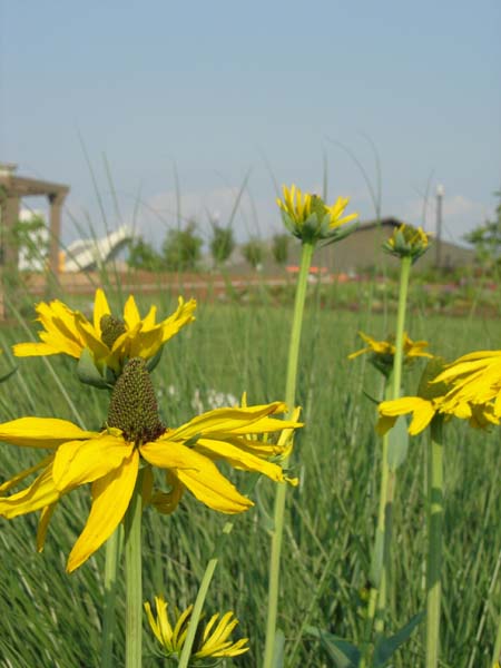 DSCN0976