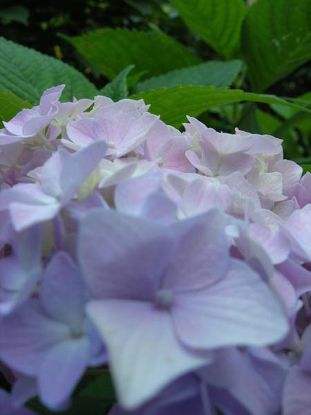 DSCN1022