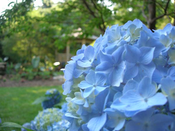 DSCN1038