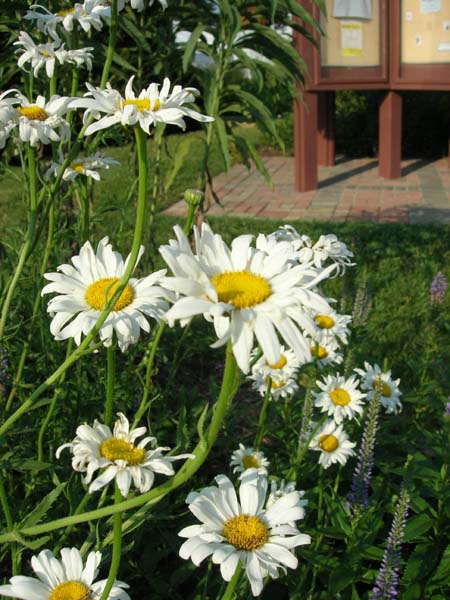 DSCN1061