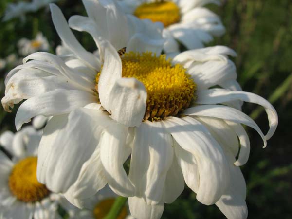 DSCN1062