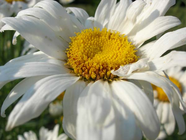 DSCN1064