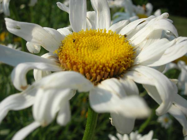 DSCN1069