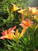 DSCN0997