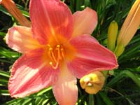DSCN1005