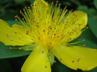 DSCN1007