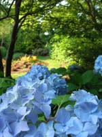 DSCN1031