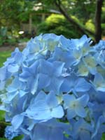 DSCN1037
