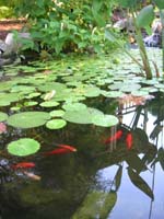 DSCN1040