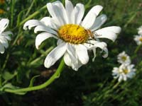 DSCN1051