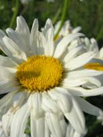 DSCN1054