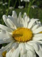 DSCN1055