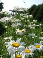 DSCN1056
