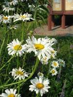 DSCN1061