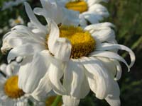 DSCN1062