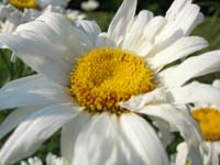 DSCN1063