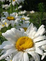 DSCN1065