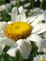 DSCN1068
