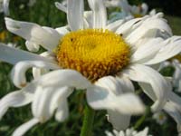 DSCN1069