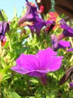 DSCN1072